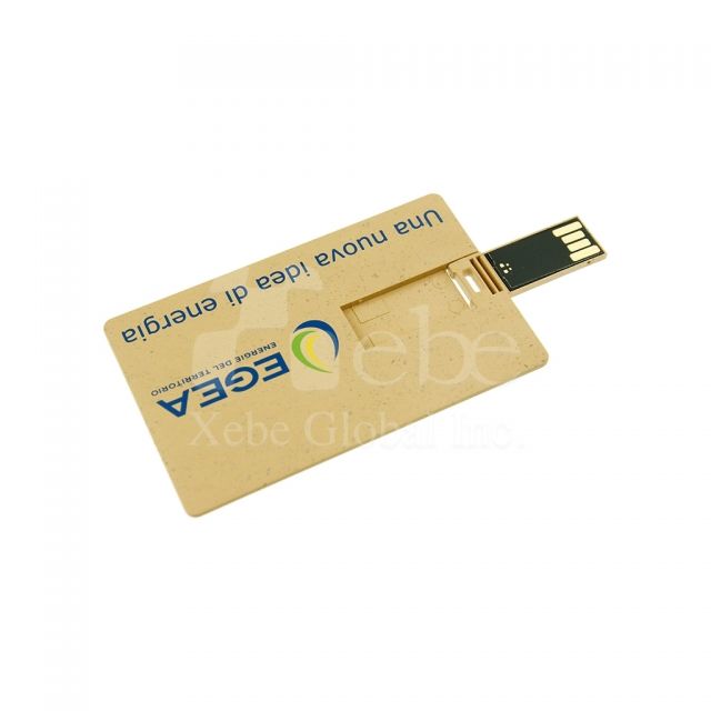 卡片式禮品USB手指 企業禮品